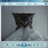 Avatar di Gabzocoo