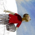 Avatar de Z1oY