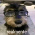 Avatar for ankknelim