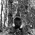 Avatar for Flickers from the Fen