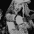 Avatar di lanitadelrey