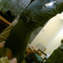 new_me さんのアバター