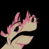 Avatar for daniwroupa