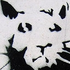 Avatar for ebilbasementcat