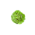Avatar for salat-latuk