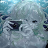 Avatar for ovxrvxde