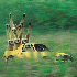 Avatar for vstupedv