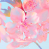 Avatar for skrjia