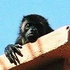 Avatar for TheTithe