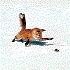 Avatar for foxbr
