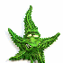Avatar for gustavo888