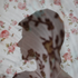 Avatar for Mary_Po