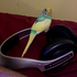 Avatar for kell0892