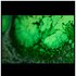 Avatar for Amon Tobin - Eric Truffaz