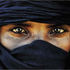 Avatar for schnabbelpabbel