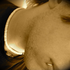 Avatar di StanbridgeLive