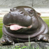 Avatar for jabroni_