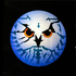 Avatar for Tampolini