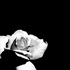 Avatar for dark_eyes13
