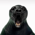 Avatar de glycin8