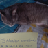 Avatar de todosmueren