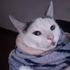 Avatar for Catmomila