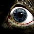 Avatar de Bloody1982