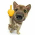 Avatar for PeVizioli