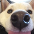 Avatar for funnysneezegif