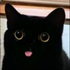 Avatar for eddyie420