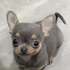 Avatar for antoko290