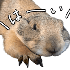 Аватар для foogos