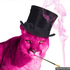 Avatar for yuppiei