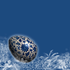 Avatar de mmcgui12-gmu