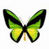 Avatar for Tonnnia