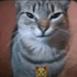TheVron için avatar