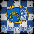 Avatar for Niebieski1920