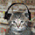 Avatar for itayedzin