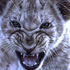 Avatar for EnKarl