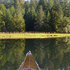 Avatar for Lost_Kayaker