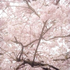 Avatar for akvile_27