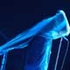 Аватар для Tiggerlily
