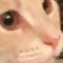 Avatar di holysnert