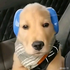 Avatar for jabadahut24