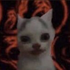 Avatar for OnionRings_
