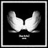 Avatar for dypskog