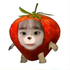 Avatar de Veromei