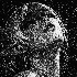 Avatar de NightRobin_