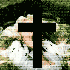 Avatar for shsht