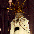 Avatar for Randomzied